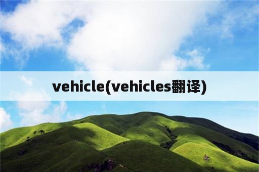 vehicle(vehicles翻译)